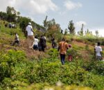 Nyarugenge: Ikoranabuhanga mu kurinda ibiti kugwingira no kuma