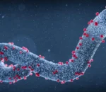 Ethiopia yugarijwe n’icyorezo cya “Marburg”