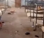 Nigeria: Abanyeshuri 50 baratorotse nyuma yo gushimutwa ari benshi