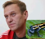 Uburusiya bwakoresheje ubumara bw’igikeri bwica Alexei Navalny utaravugaga rumwe nabwo
