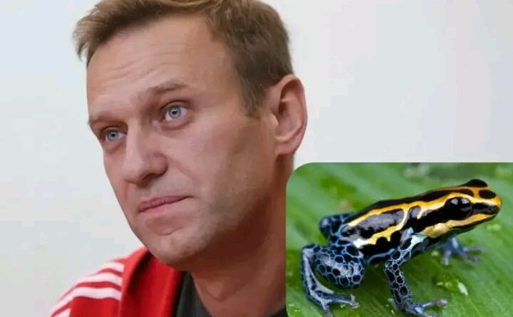 Uburusiya bwakoresheje ubumara bw’igikeri bwica Alexei Navalny utaravugaga rumwe nabwo