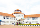 Rwamagana: Diregiteri w’ikigo cy’ishuri afunzwe azira gutema ishyamba rya leta