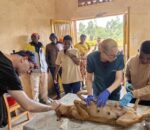 Ngoma – Kanyonza: Imbwa 204 zakonwe