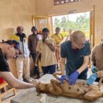 Ngoma – Kanyonza: Imbwa 204 zakonwe