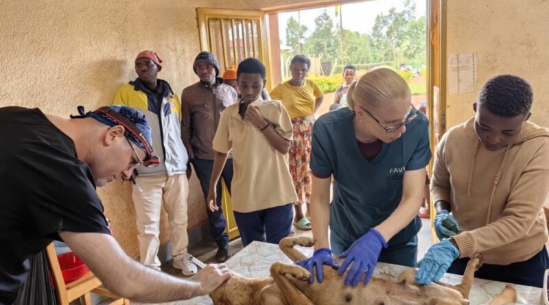 Ngoma – Kanyonza: Imbwa 204 zakonwe