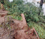 Ikamyo yaguye muri Nyabarongo, umushoferi aburirwa irengero