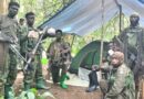 RDC: UPDF yabohoye abasivili barenga 200 bari barashimuswe na ADF