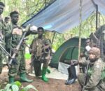 RDC: UPDF yabohoye abasivili barenga 200 bari barashimuswe na ADF