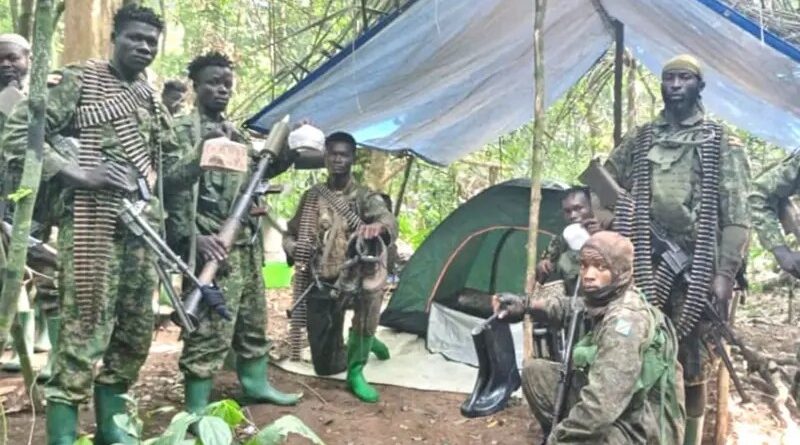 RDC: UPDF yabohoye abasivili barenga 200 bari barashimuswe na ADF