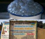 Burera: Inkubiri yo guca ikigage n’urwagwa yasize benshi bajya kubinywa Uganda
