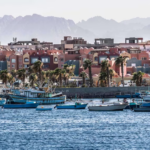 Umukerarugendo yapfuye nyuma yo kurumwa n’inzoka