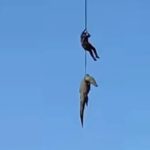 Drones n’indege byifashishijwe mu gushakisha umuntu wariwe n’ingona