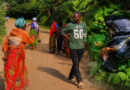 Karongi: Igisiga cyanze kuva iruhande rw’umusore ushinjwa ubujura
