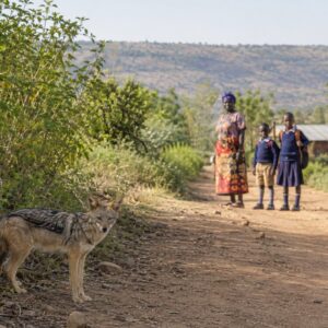 Nyagatare: Imbwebwe zajujubije abaturage