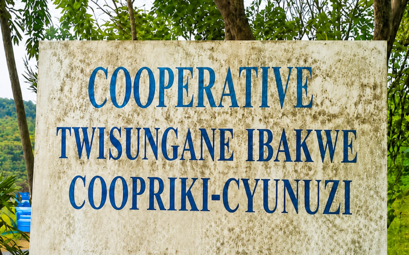 Muhanga: Abanyamuryango ba Koperative Twisungane baratabaza.