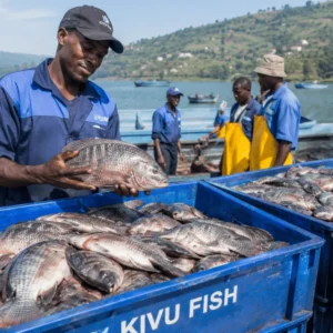 Umunyarwanda arya ibilo bine by’amafi ku mwaka.