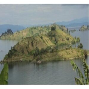 Ibirwa byo mu Kivu bigiye guhindurwa pariki.