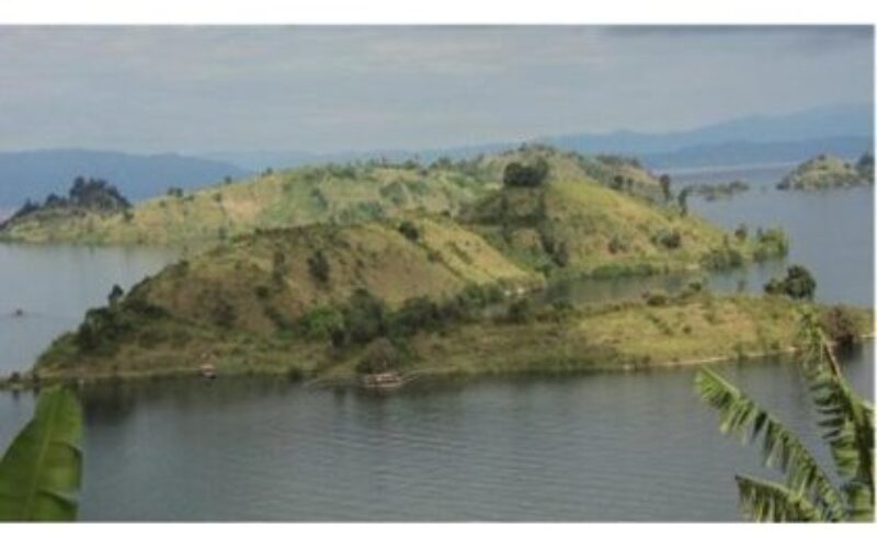 Ibirwa byo mu Kivu bigiye guhindurwa pariki.