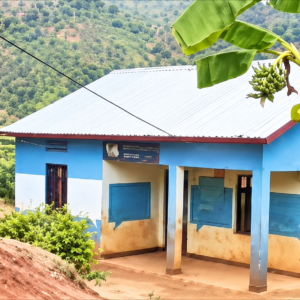 Gisagara: Kubona ubuvuzi ni ingorabahizi