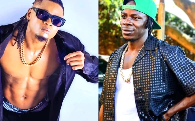 Alien Skin ni ikigoryi: Pallaso mu ntambara y’amagambo